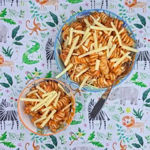  Roasted Vegetable Tomato Sauce tossed through cooked pasta. Served in bowls with a sprinkle of grated cheese. Fork. 